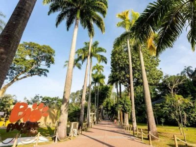 bioparque-do-rio-promove-visitacao-exclusiva-para-pessoas-do-espectro-autista-durante-sessao-azul.jp_.jpeg